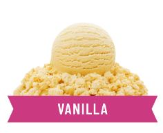 Braum's Vanilla Frozen Yogurt